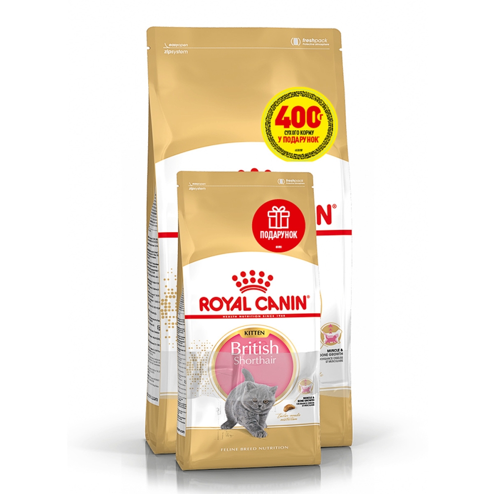 Royal Canin British Shorthair Kitten, 2,4 кг